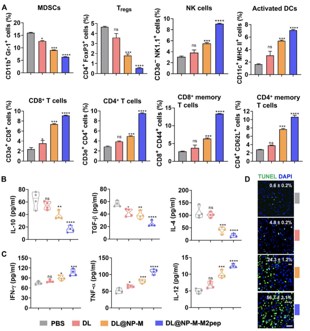 Science Advances丨d-乳酸调节 M2 肿瘤相关巨噬细胞并重塑肝细胞癌的免疫抑制肿瘤微环境 - 知乎