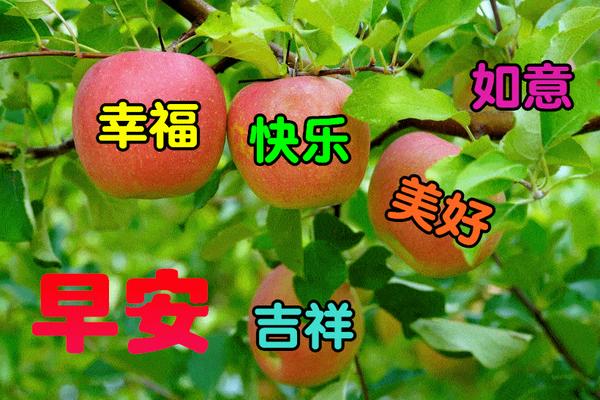 2021年5月24日星期一清晨早上好问候语图片 周一最新早安问候祝福图片