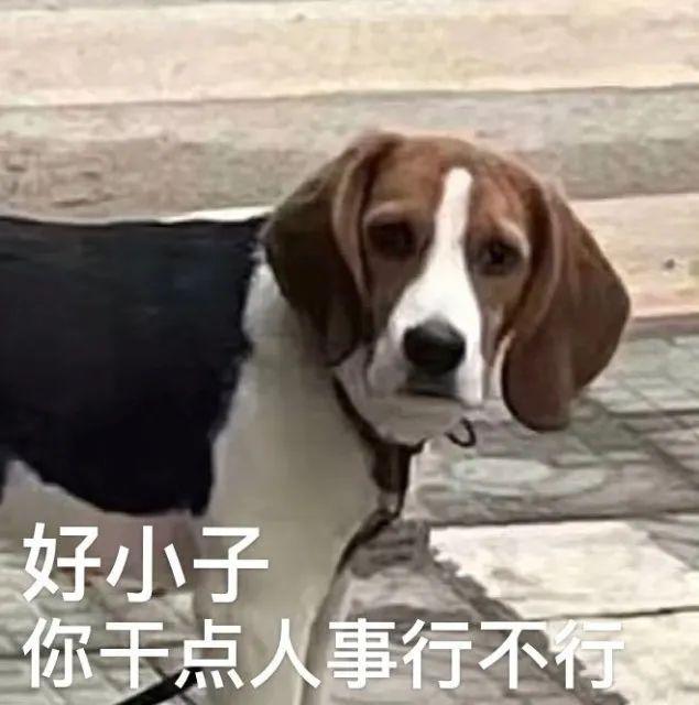 相机贵角度佳,技术牛还要有耐心拍照一分钟修图n小时不然原图隔这儿你