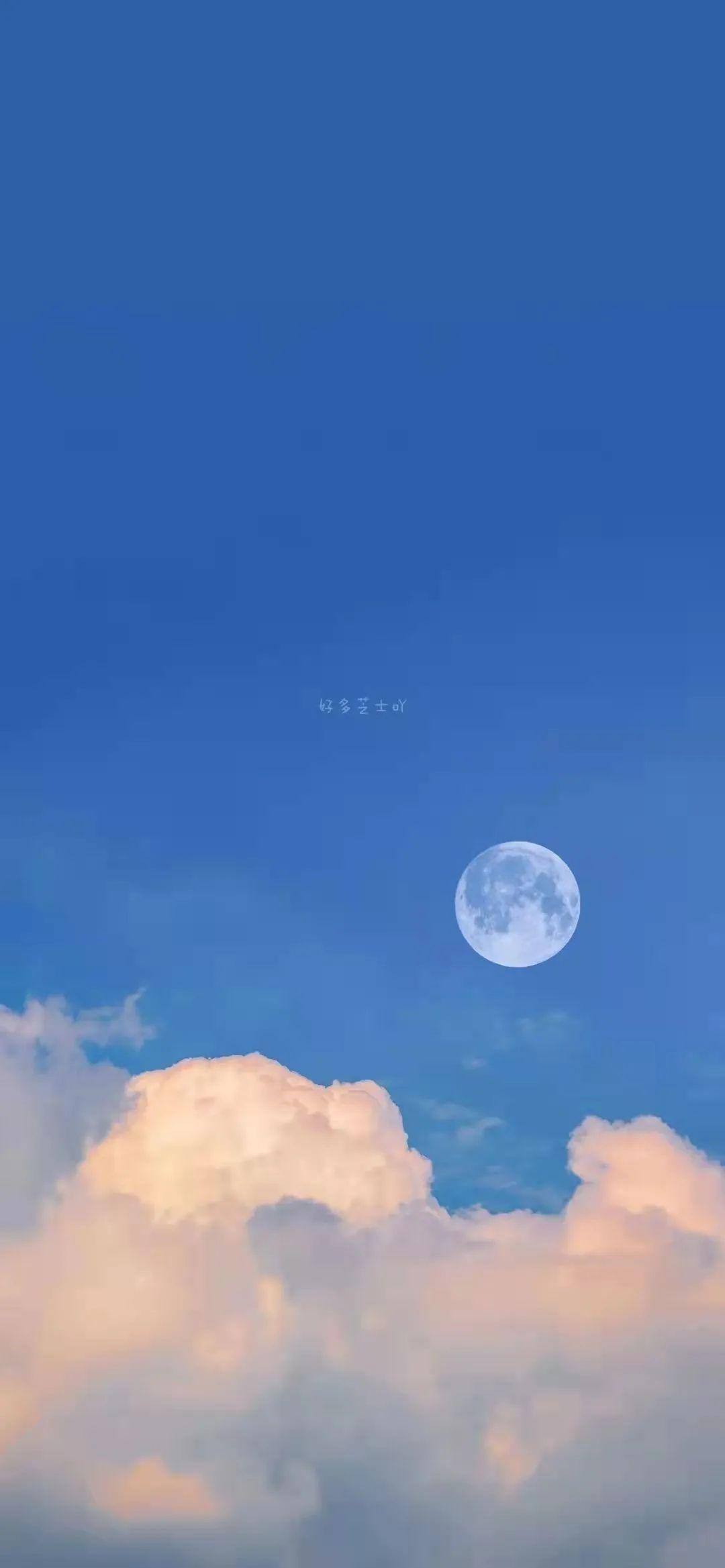 今日壁纸蓝色安静而沉稳的蓝色总能给人一种舒适的感觉今天小编给大家