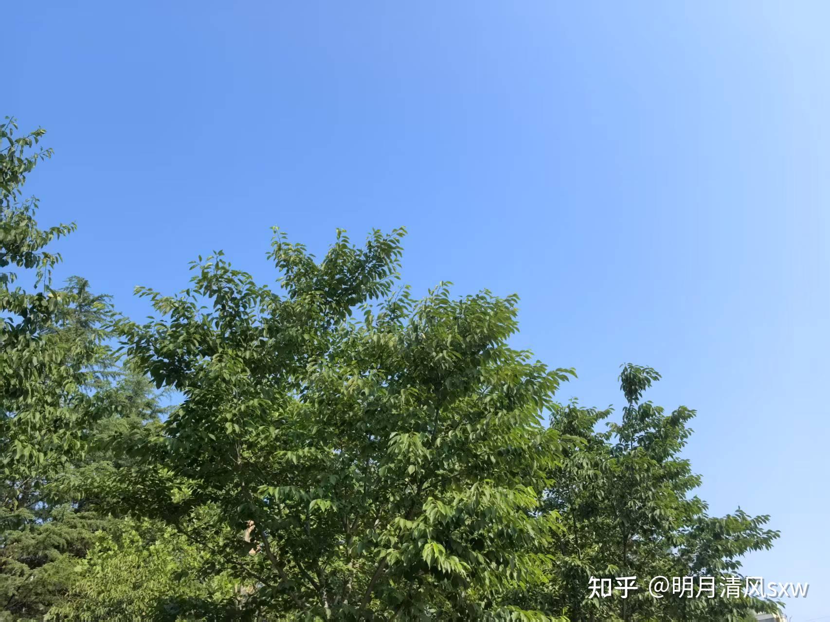 《颜氏家训》15:真正的教养,是在情感与理性的调和中把握分寸 - 知乎