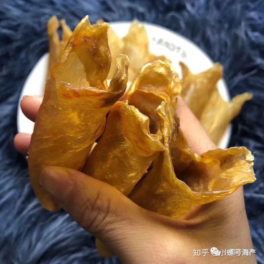 那么贵的花胶,你吃对了吗? - 知乎