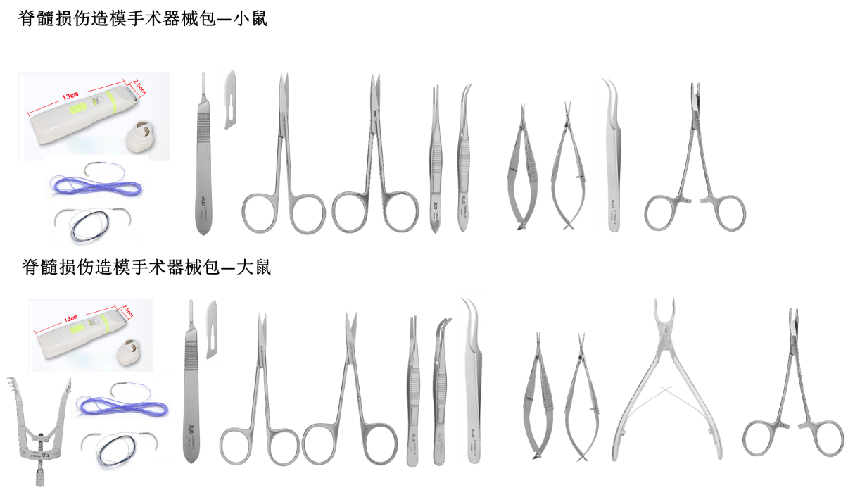 大小鼠脊髓損傷造模實驗手術器械整體解決方案介紹