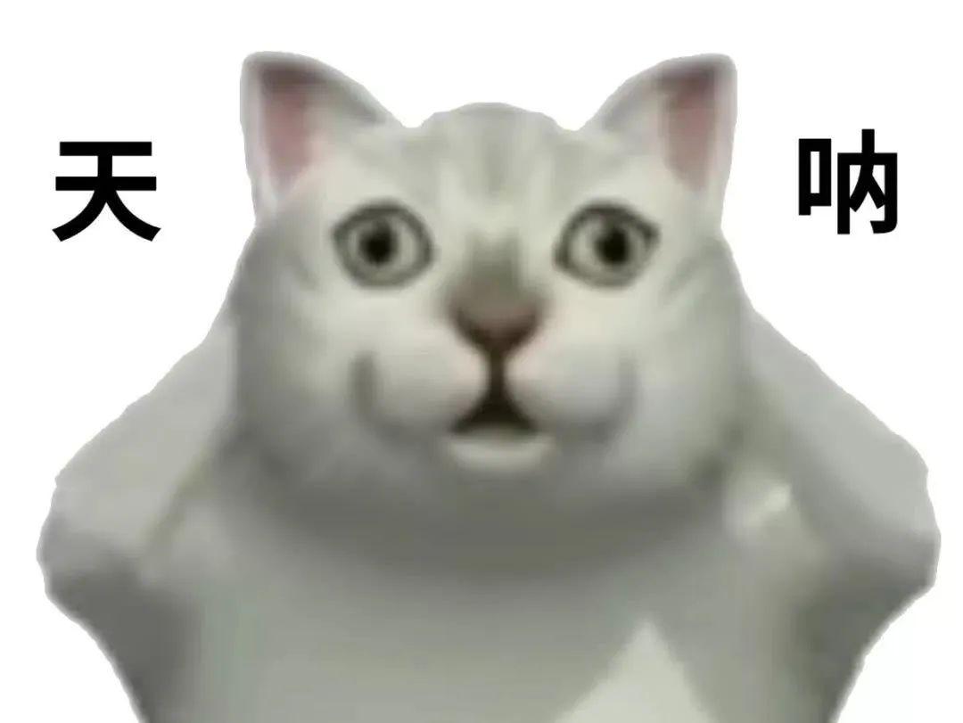 新增mur猫表情包 - 知乎
