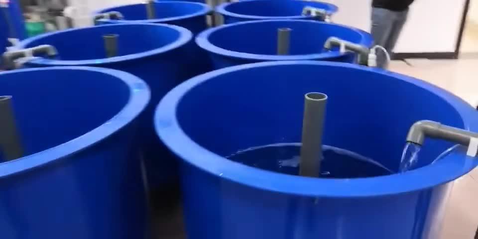v2-9a36a6f7cf5d927e38445875819426cb.jpg
