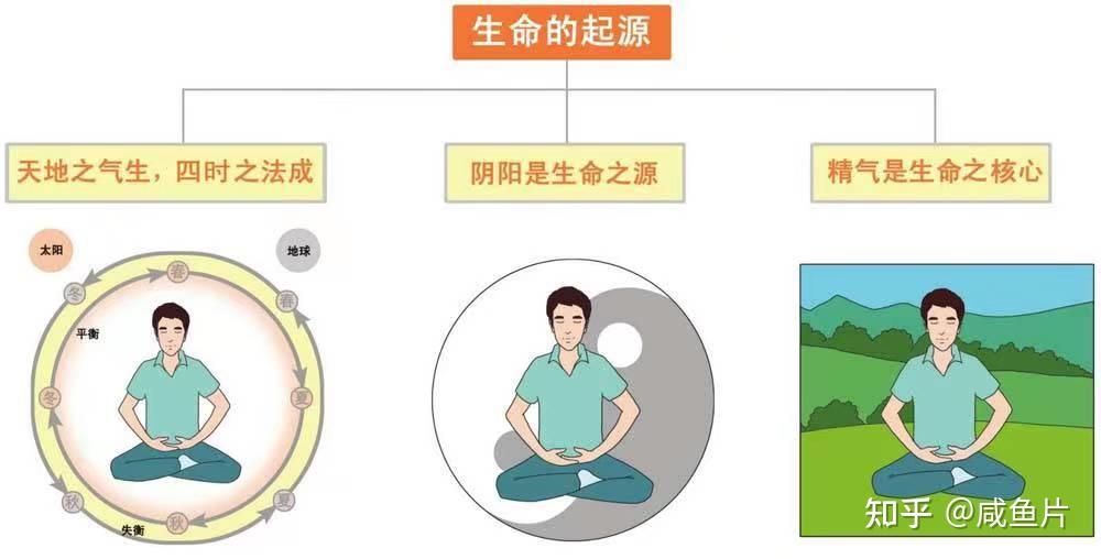 气血是什么？气和血有什么关系？气血不足怎么吃？ - 知乎