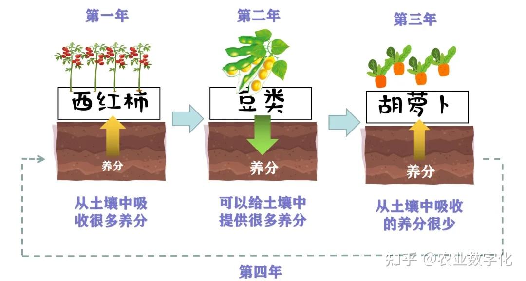 种植业有以下几种种植模式 - 知乎