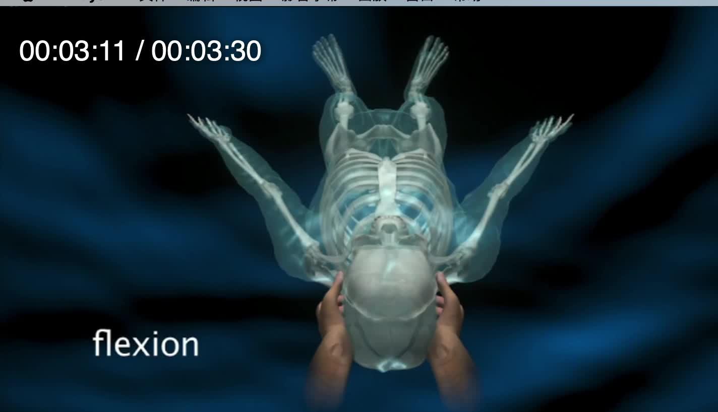 颅骶疗法按摩床是我睡得最香的地方