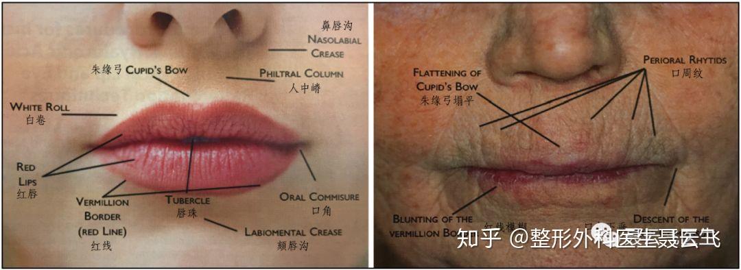 李佳琦的唇,注定吃的女人饭