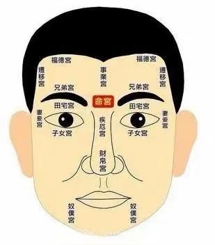 面相看一生- 知乎