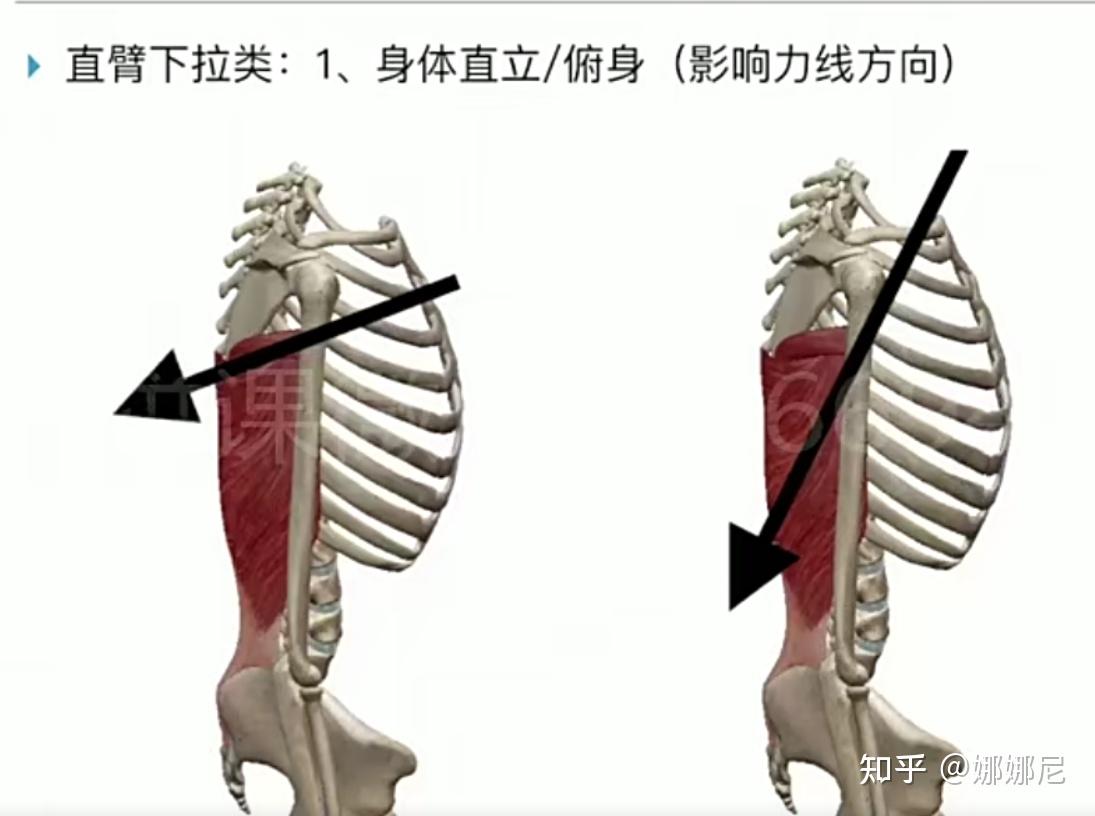 发力方向 粗线条表示力线方向