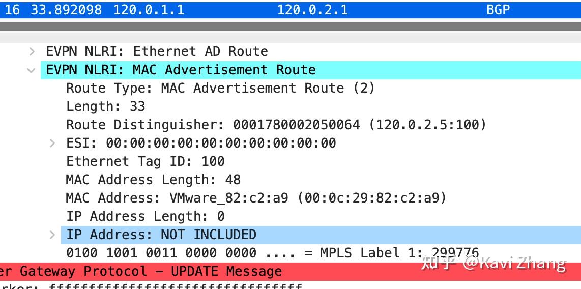 EVPN（一）：EVPN 路由type有哪些？ 知乎