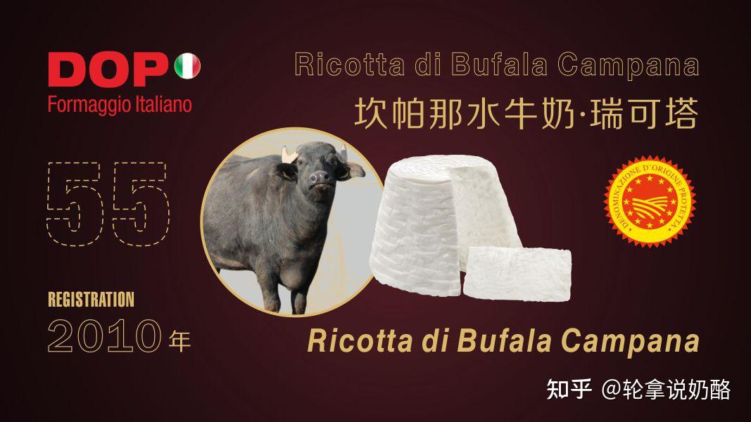 轮拿说奶酪 | 意大利新鲜乳清奶酪 ricotta di bufala campana 坎帕那