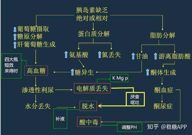 缺乏胰島素會引發脂肪流失小心酮症酸中毒尤其要警惕這10大症狀