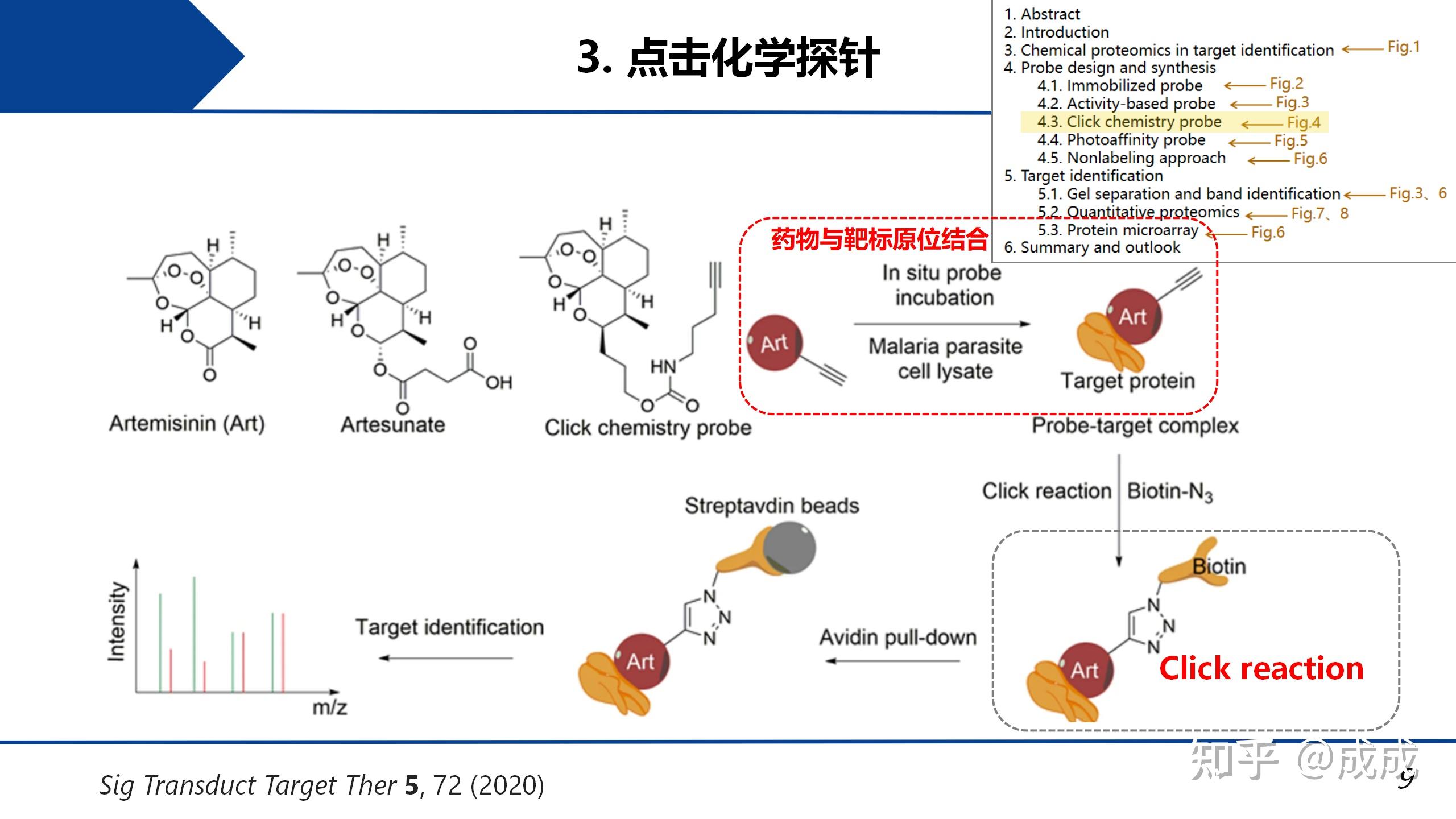 文献解读| 用化学蛋白质组学方法鉴定天然药物的靶标:探针合成、钓靶和蛋白质鉴定 - 知乎