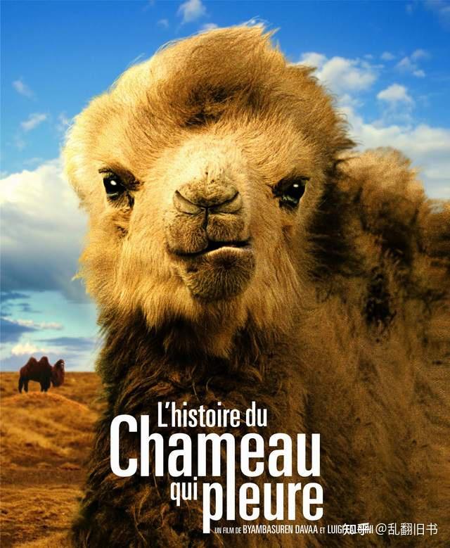 2003年,德国拍摄了一部关于蒙古国的经典纪录片《哭泣的骆驼》,影片