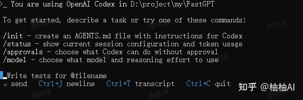 2026 最新 Codex CLI 国内配置教程：Windows / Mac / Linux + VSCode 一文搞定 - 知乎