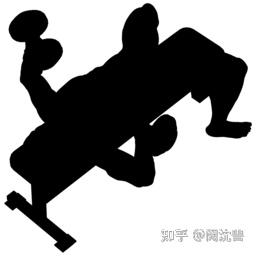 健身动作分解(胸)—哑铃卧推 - 知乎