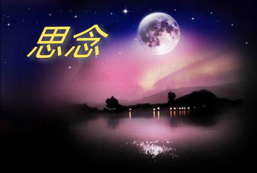 一曲太想念真情流露唱出了多少有情人的思念