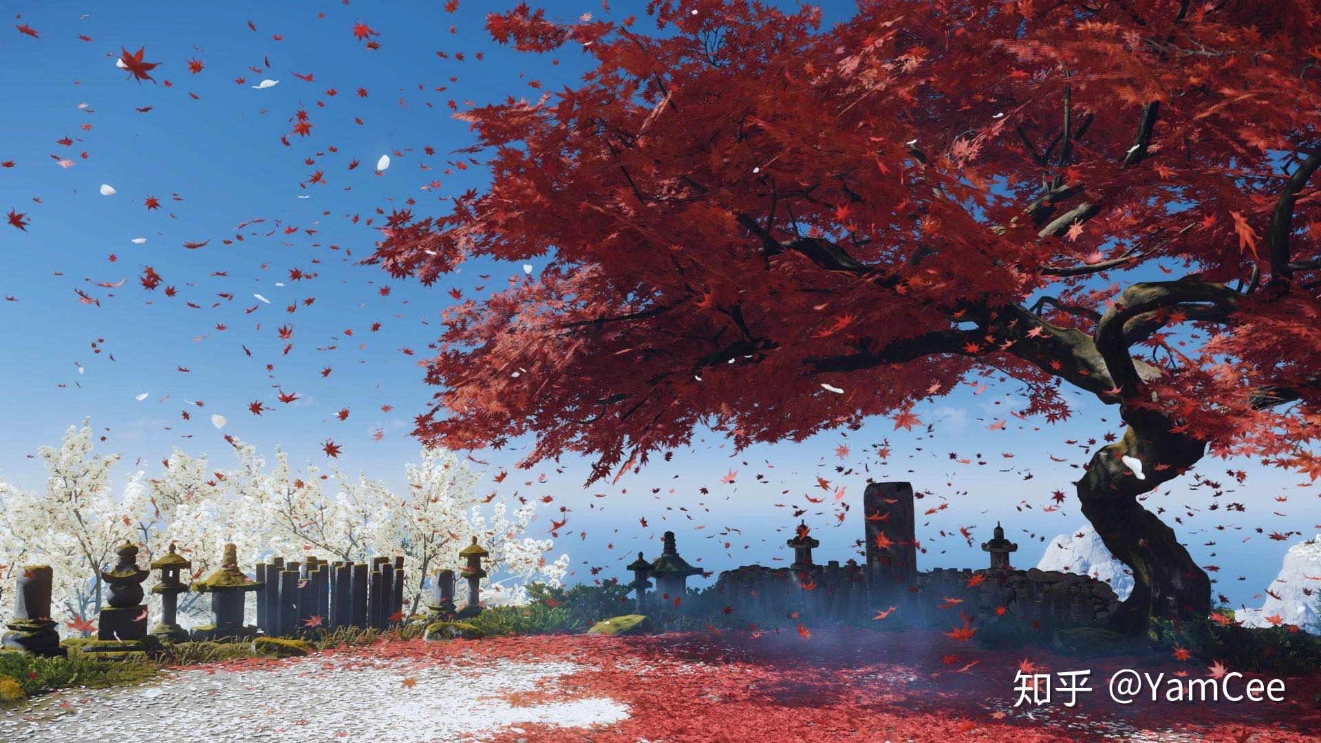 对马岛之魂风从何处来