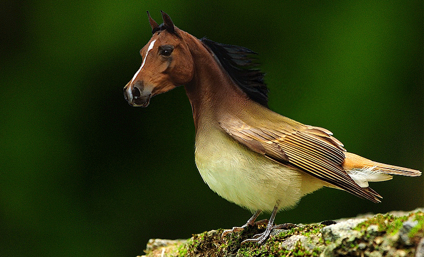 番外·马踏的是什么燕