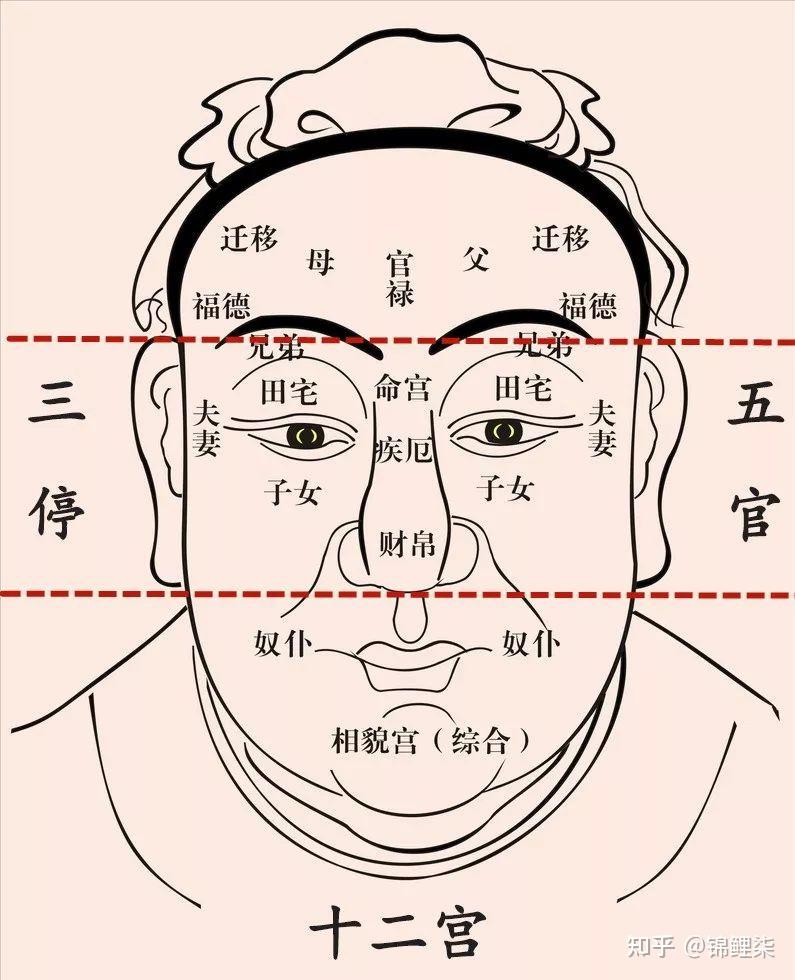 面相十二宫奴仆宫