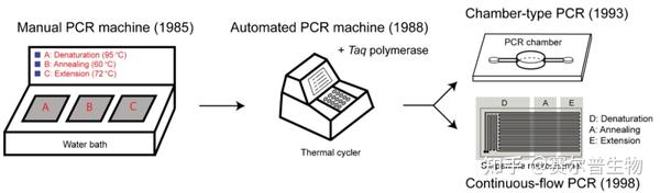 Pcrrt Pcrqpcrreal Time Pcrreal Time Rt Pcr