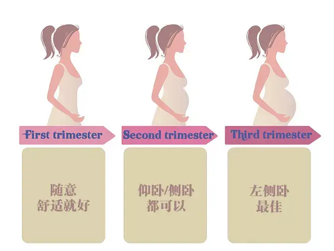 孕期睡眠有讲究,这些危险睡姿要避免…… - 知乎