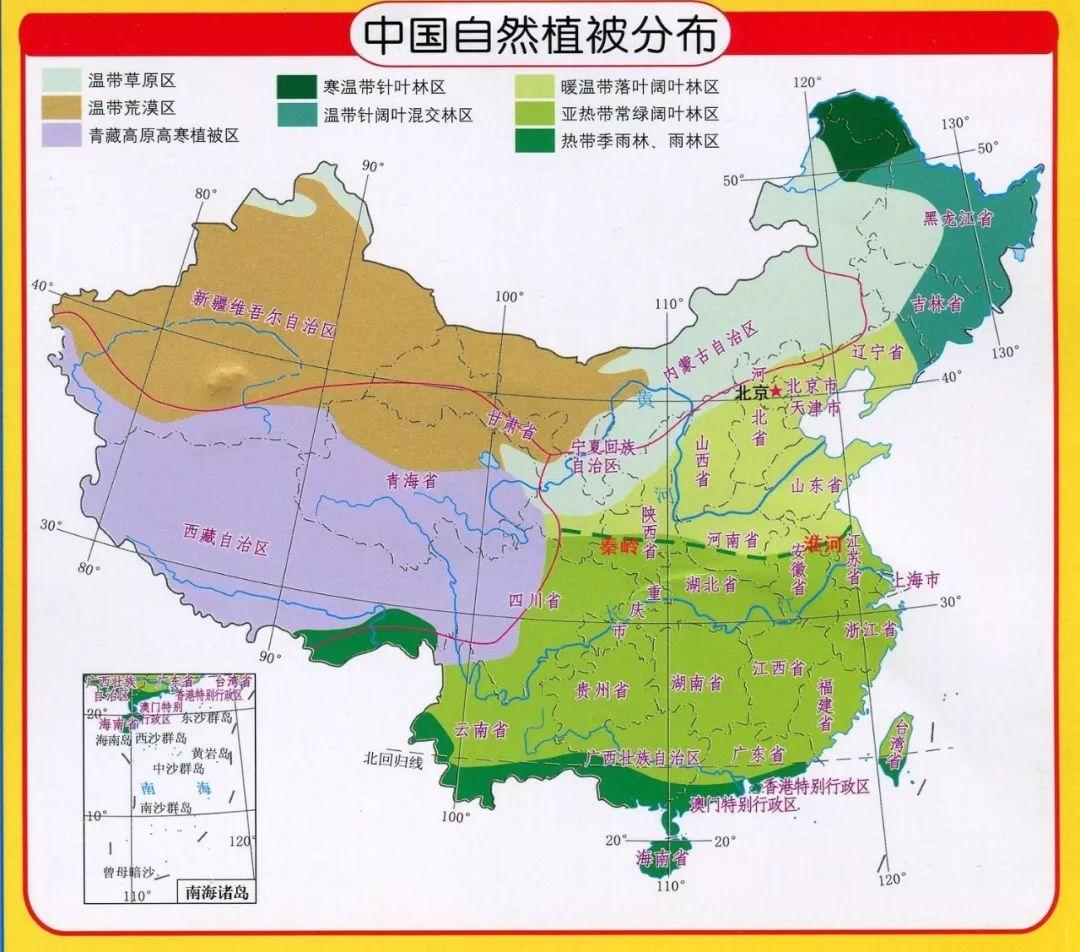 在中国南方,从淮河到福建等地,也能看到马尾松等常绿针叶林,这些针叶