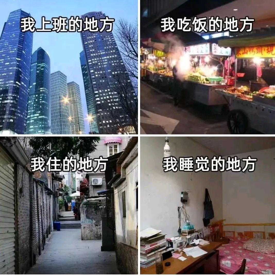 我们程序员常常都自嘲为码农,大多数程序员也都不反感这一个身份