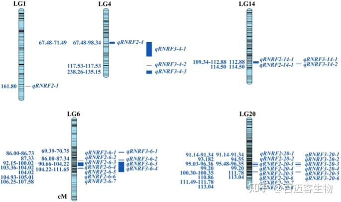 nga遗传27图图片