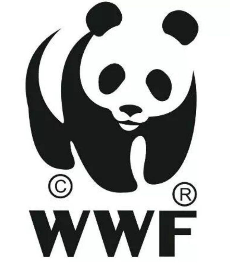 这个网红很嚣张,过生日发了张“粑粑照”给粉丝当福利-网红生日祝福语录简短