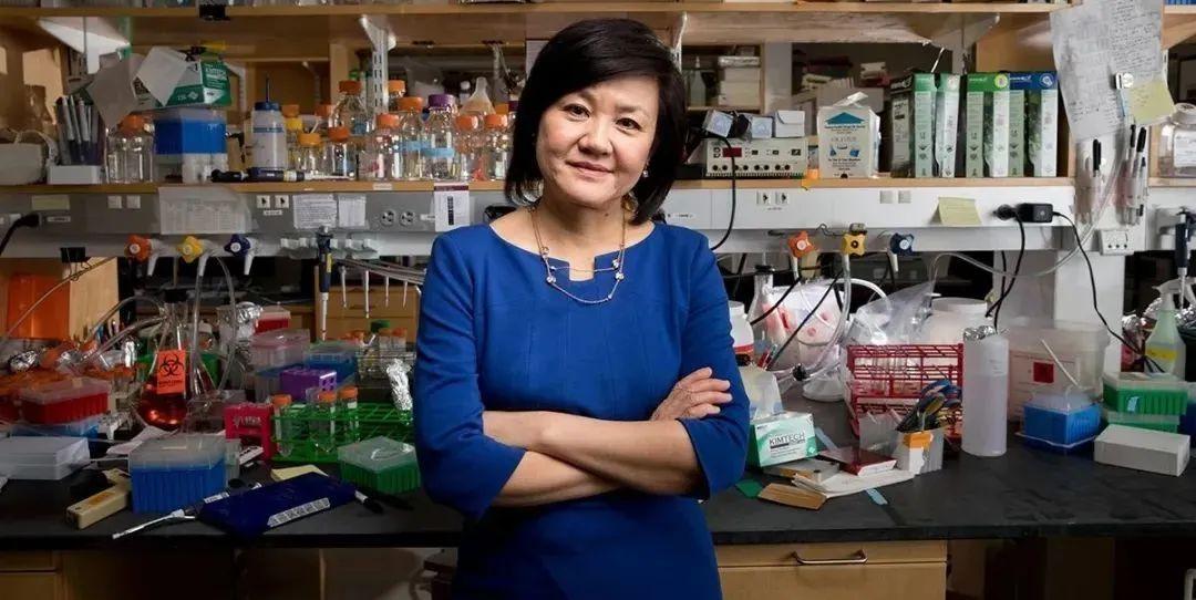 mit 蔡立慧教授来自麻省理工学院(mit)大脑与认知科学系蔡立慧教授的