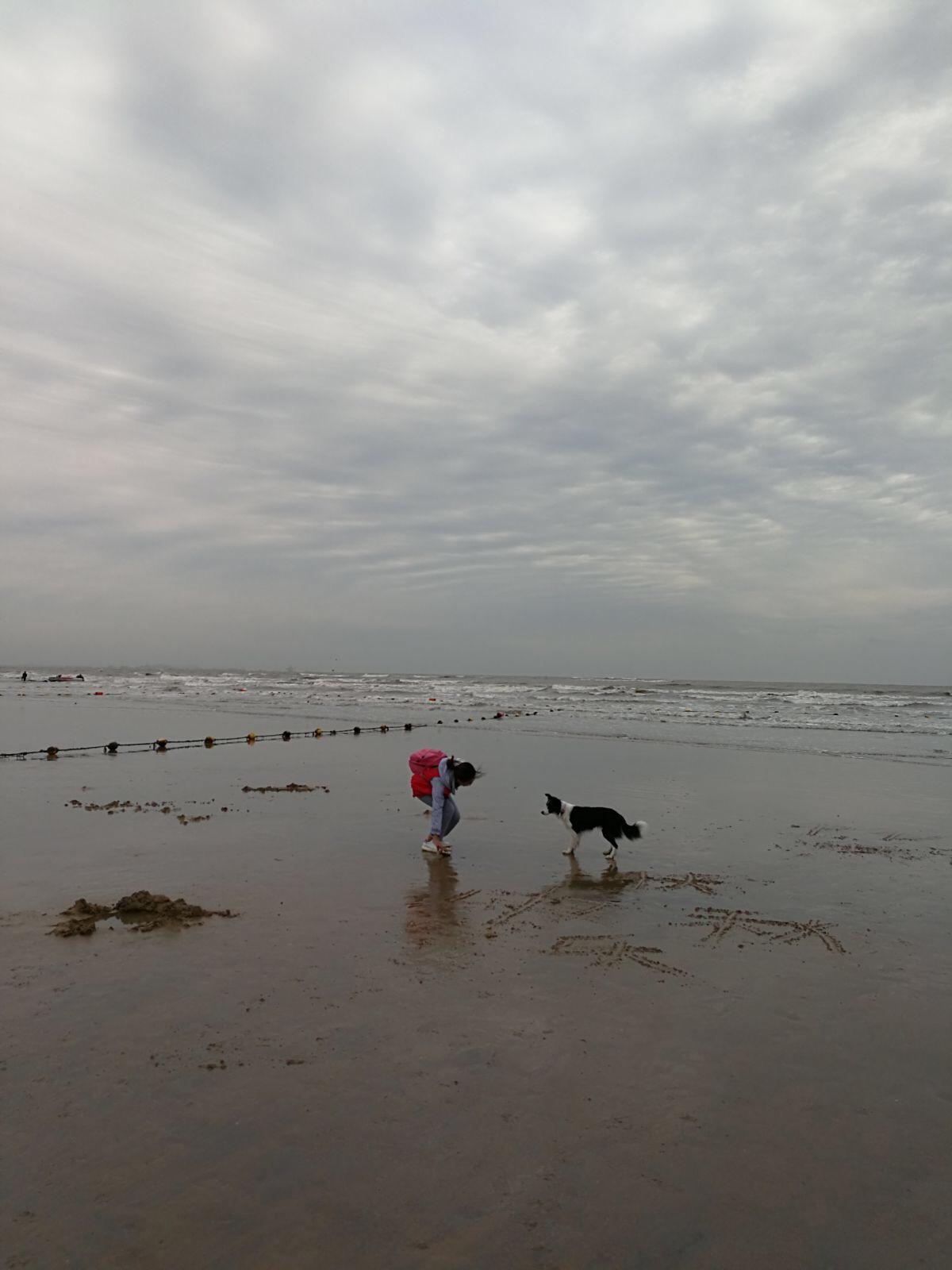 如何带着宠物(大型犬)旅行? - 知乎