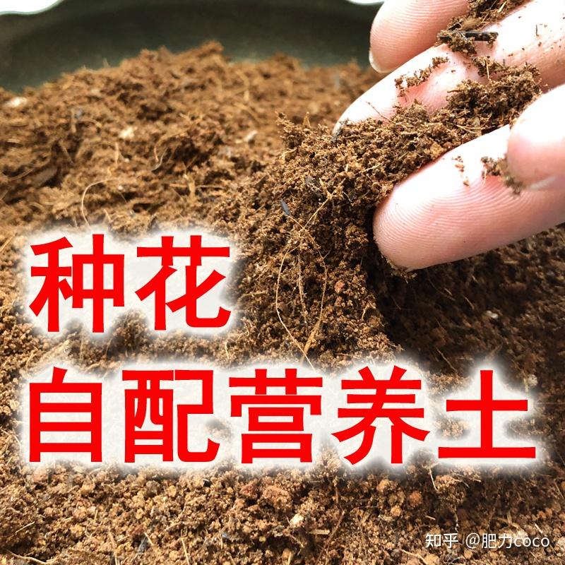 种花中营养土和种植土的概念 - 知乎
