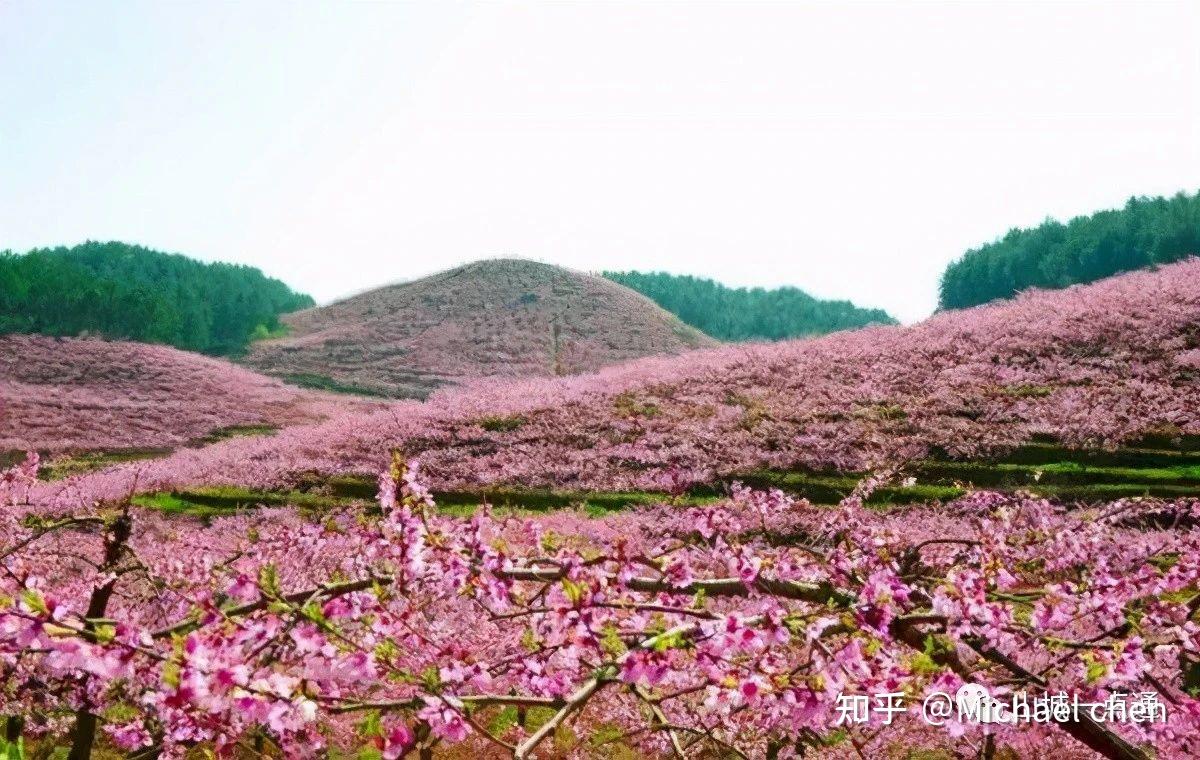 位置:重庆市永川区桂山路236号桃花山公园位于重庆市武隆县县城以西