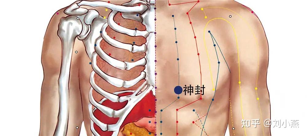 艾灸丰胸位置图图片