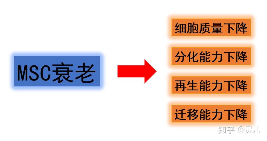 干细胞完全培养基，轻松实现MSC多次传代 - 知乎
