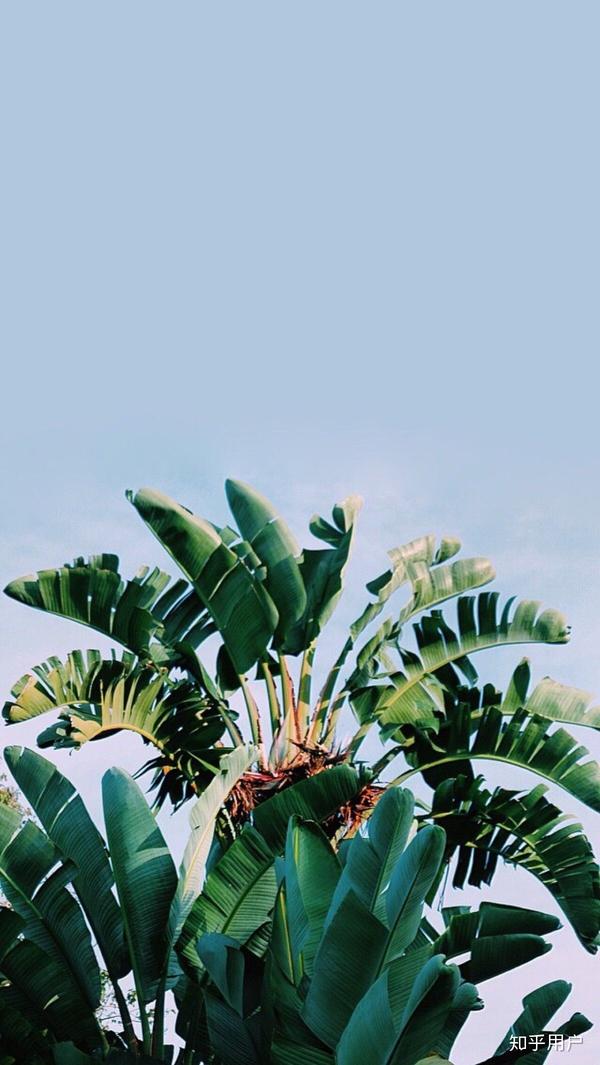 有哪些值得推荐的 qq 聊天背景照片?