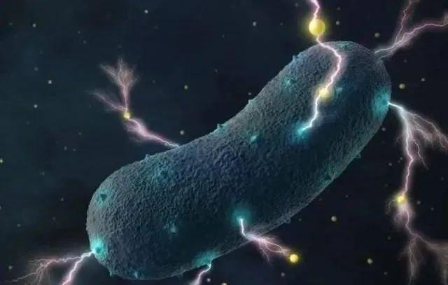 近日,荷兰radboud大学的微生物学家发现,甲烷氧化菌属能够在净化环境