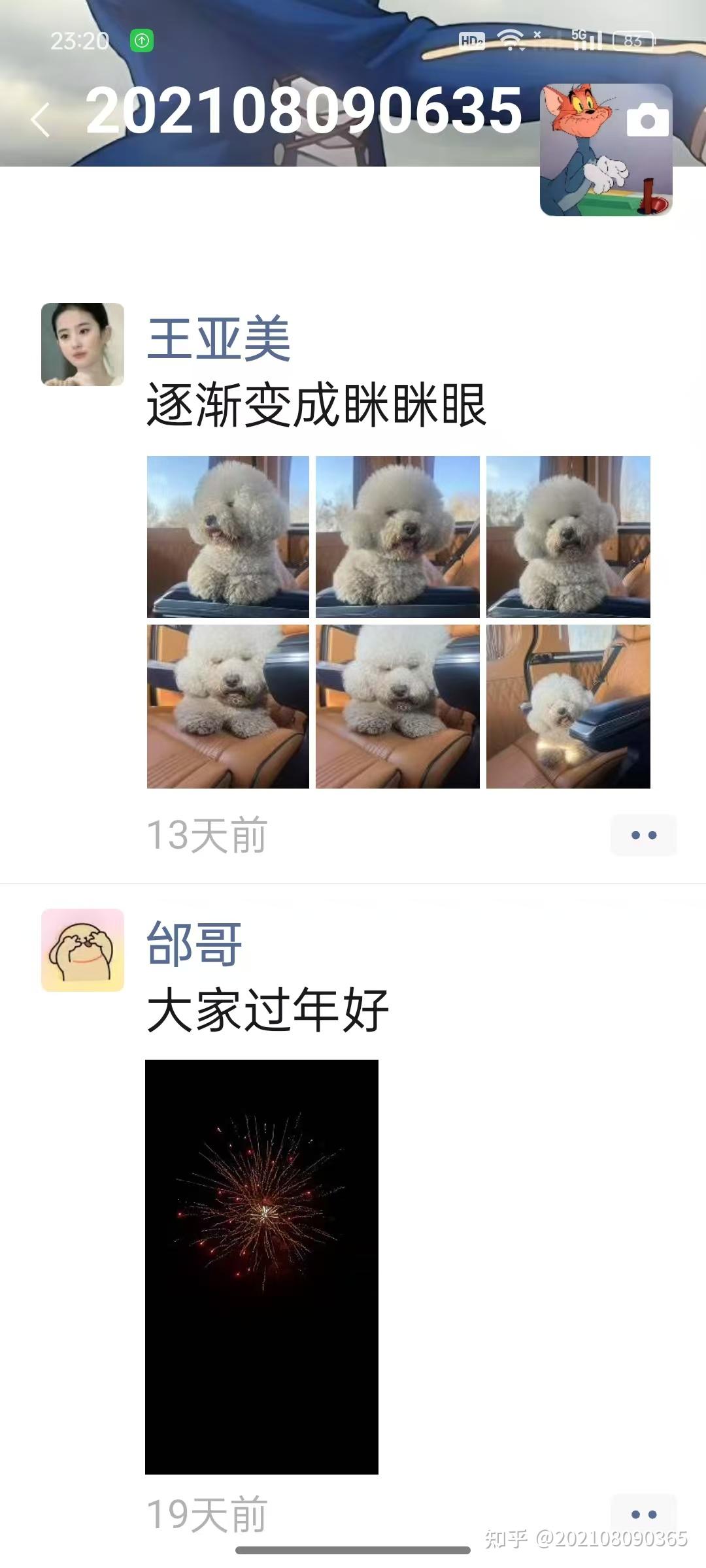 孤独真的能毁掉一个人吗？