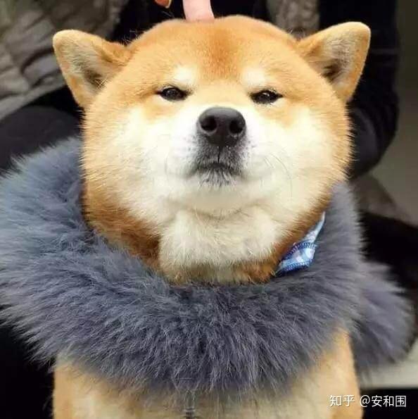 认识周杰伦第一首歌是哪一首!?