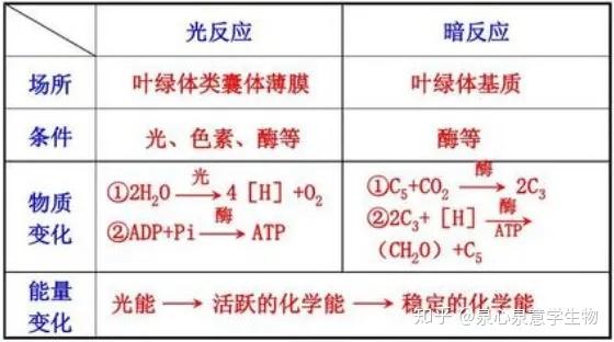 【新教材答案】光合作用的原理和应用 - 知乎