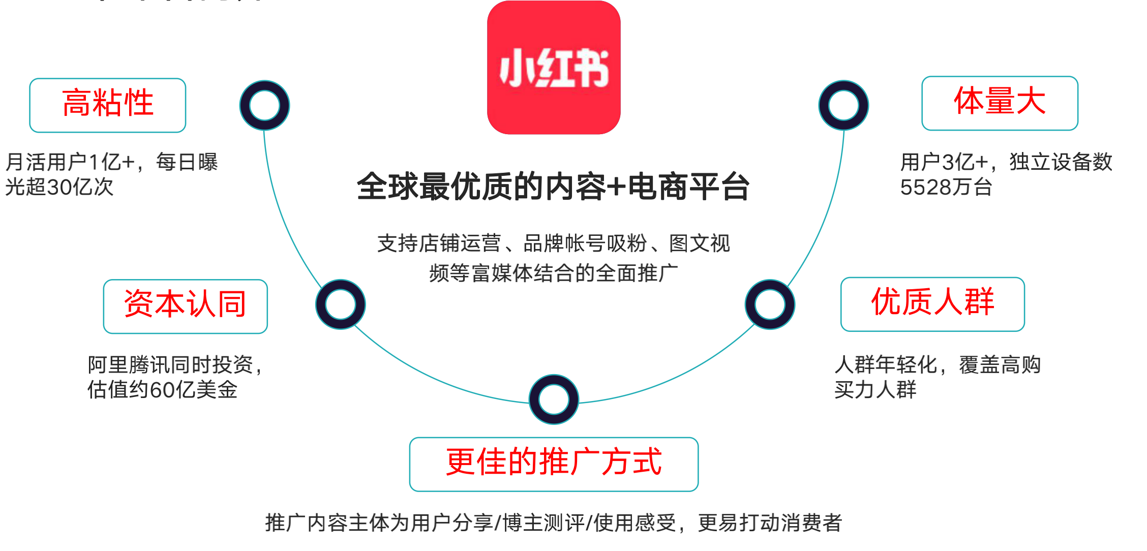 小红书运营全攻略关于养号限流违规快速涨粉爆文笔记品牌推广信息流
