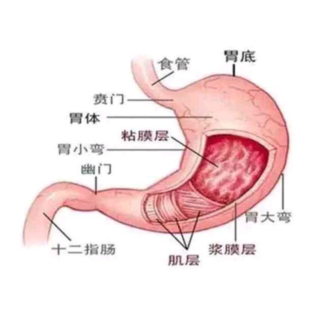 【轻盈医学】食道癌的中西医结合治疗方法 