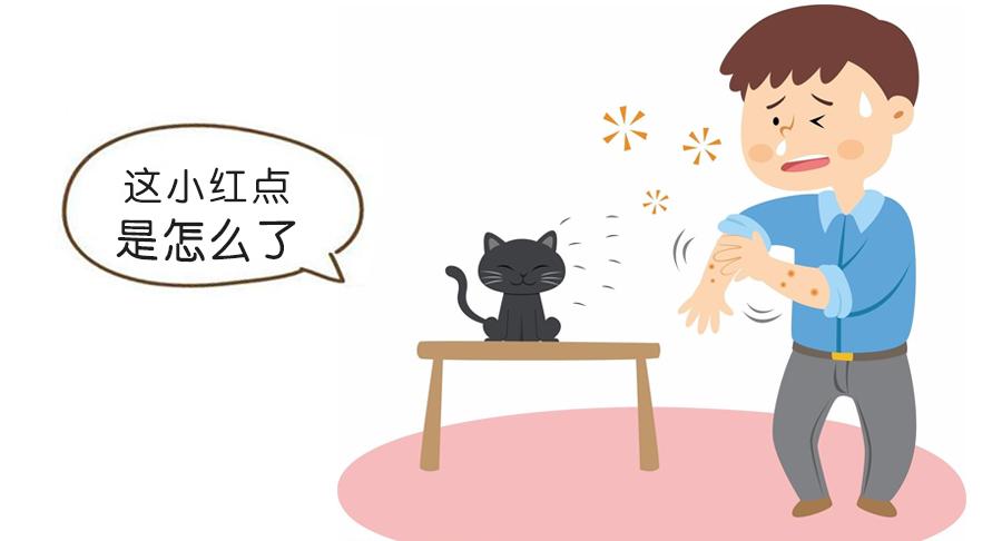 下肢的小出血点怎么办