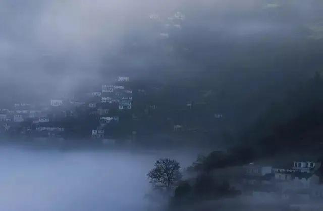 秋冬多雾，如何在下雾天拍出梦幻神秘的氛围感大片？ - 知乎