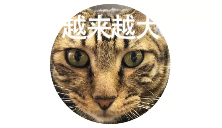 你的脸咋那么大呢?