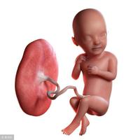 给孩子储存脐带胎盘到底有没有意义