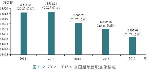 不用屯粮 关于粮食安全 中国有些现实会让你惊掉下巴 全网搜